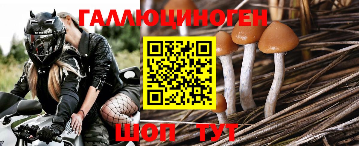 Псилоцибиновые грибы мицелий Учалы